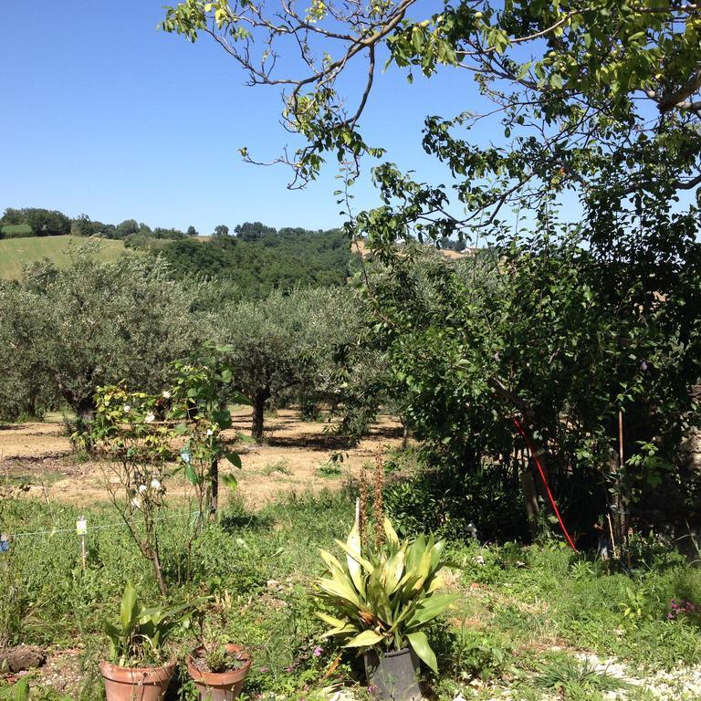 הוילה Civitella Casanova Masseria Spadone מראה חיצוני תמונה