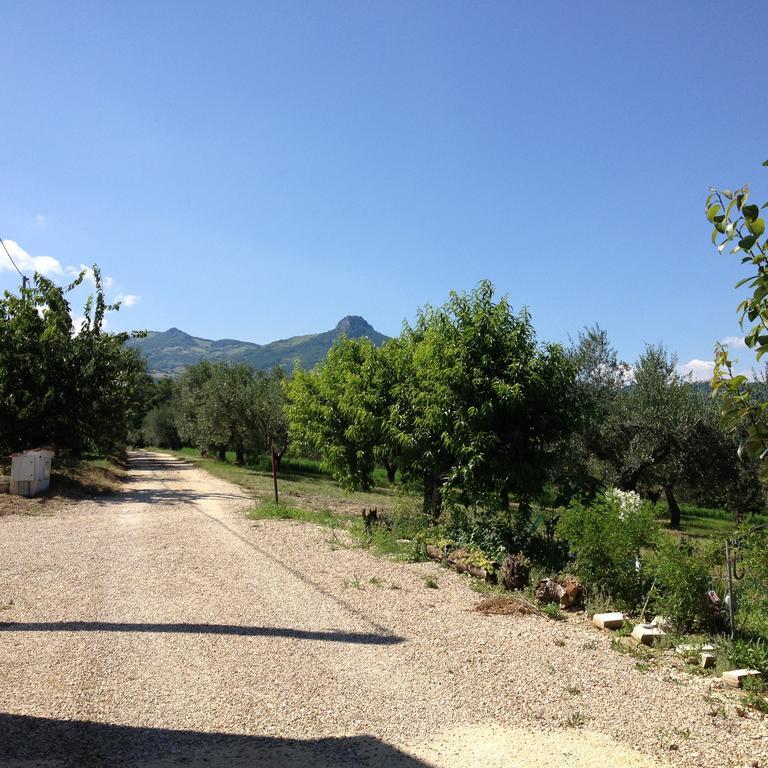 הוילה Civitella Casanova Masseria Spadone מראה חיצוני תמונה